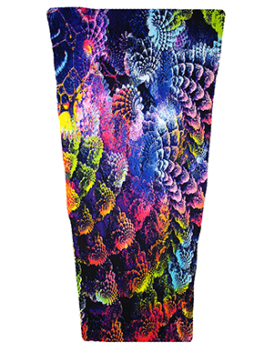 Coral Reef