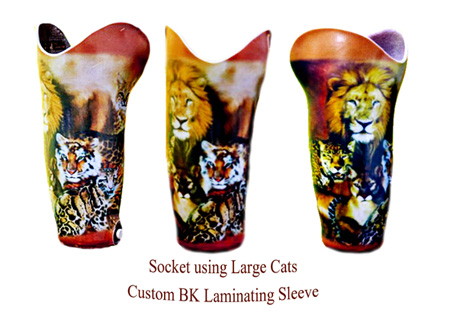 Large Cats Socket