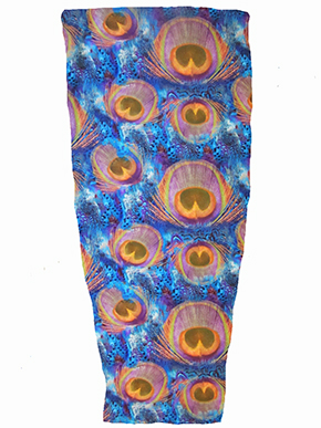 Blue Peacock Feather Design