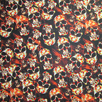 Fiery Looking Skulls