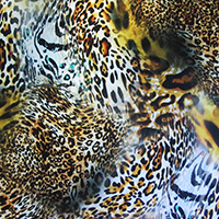 Mixed Animal Print