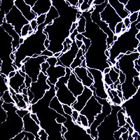 Black with White Lightning Bolts