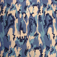 Blue Camouflage